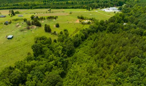 Photo #38 of SOLD property in Off Ephesus Church Road, Semora, NC 34.1 acres