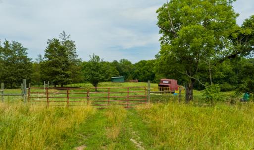 Photo #40 of SOLD property in Off Ephesus Church Road, Semora, NC 34.1 acres