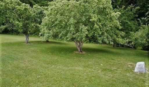 Photo #28 of SOLD property in 717 Glade Creek Road, Woodlawn, VA 4.0 acres