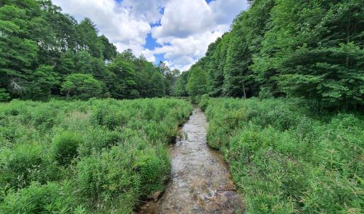 Photo #33 of Off Pond Mountain Lane, Whitetop, VA 186.5 acres