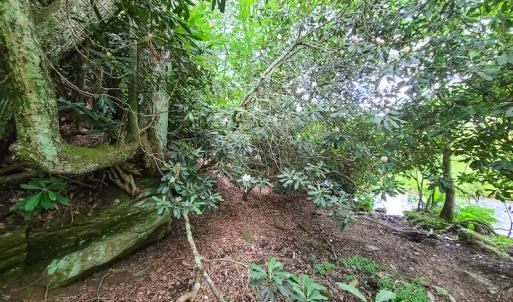 Photo #32 of Off Pond Mountain Lane, Whitetop, VA 186.5 acres