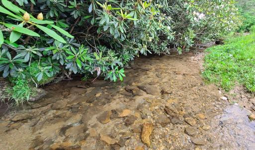 Photo #34 of Off Pond Mountain Lane, Whitetop, VA 186.5 acres