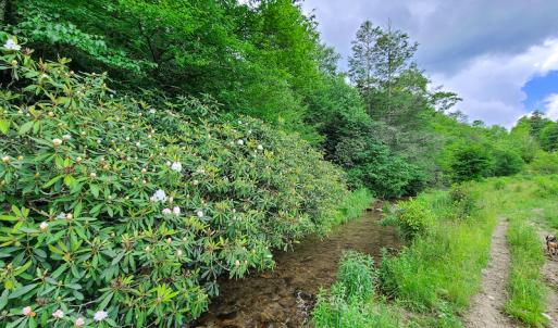 Photo #37 of Off Pond Mountain Lane, Whitetop, VA 186.5 acres