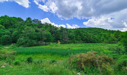 Photo #3 of Off Pond Mountain Lane, Whitetop, VA 186.5 acres