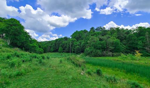 Photo #4 of Off Pond Mountain Lane, Whitetop, VA 186.5 acres