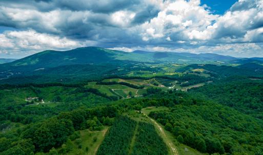 Photo #14 of Off Pond Mountain Lane, Whitetop, VA 186.5 acres