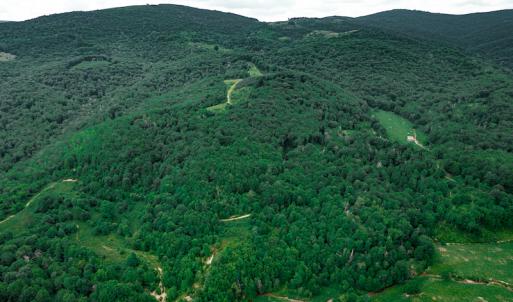 Photo #5 of Off Pond Mountain Lane, Whitetop, VA 186.5 acres