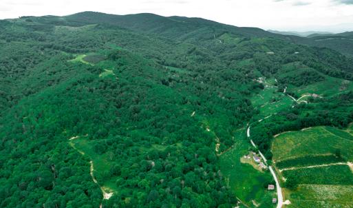Photo #6 of Off Pond Mountain Lane, Whitetop, VA 186.5 acres