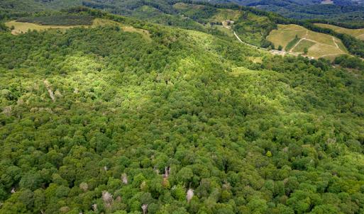 Photo #10 of Off Pond Mountain Lane, Whitetop, VA 186.5 acres