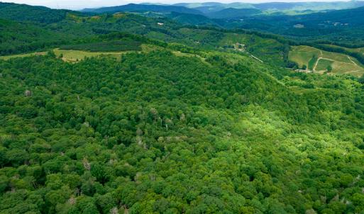 Photo #11 of Off Pond Mountain Lane, Whitetop, VA 186.5 acres