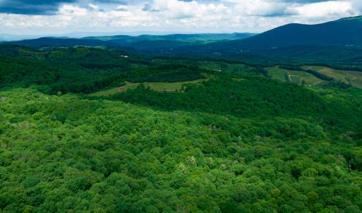 Photo #13 of Off Pond Mountain Lane, Whitetop, VA 186.5 acres