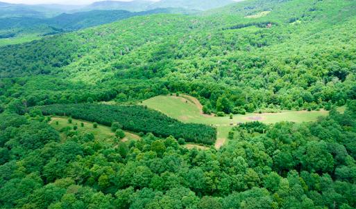 Photo #20 of Off Pond Mountain Lane, Whitetop, VA 186.5 acres