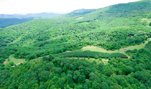 Photo #21 of Off Pond Mountain Lane, Whitetop, VA 186.5 acres