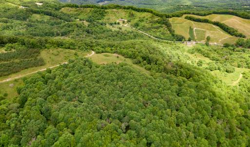 Photo #24 of Off Pond Mountain Lane, Whitetop, VA 186.5 acres