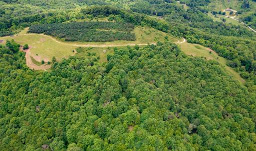 Photo #25 of Off Pond Mountain Lane, Whitetop, VA 186.5 acres
