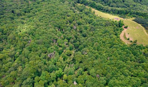 Photo #26 of Off Pond Mountain Lane, Whitetop, VA 186.5 acres