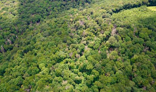 Photo #27 of Off Pond Mountain Lane, Whitetop, VA 186.5 acres