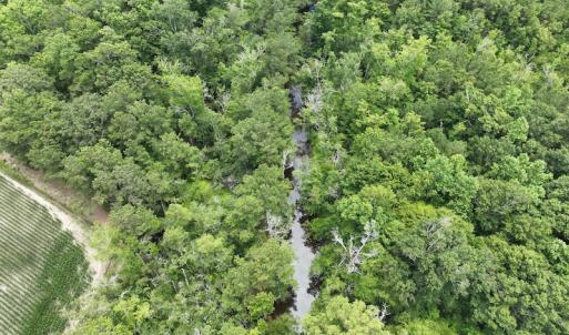 Photo #12 of SOLD property in 3289 Soundside Road, Columbia, NC 2.0 acres