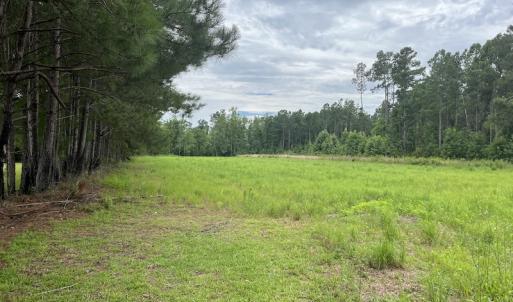 Photo #3 of SOLD property in 2003 Irvin Enzor Road N, Fair Bluff, NC 11.0 acres