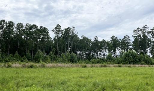 Photo #5 of SOLD property in 2003 Irvin Enzor Road N, Fair Bluff, NC 11.0 acres