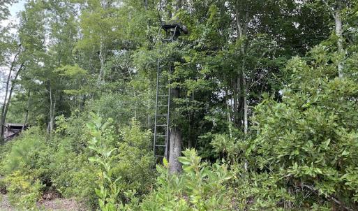 Photo #6 of SOLD property in 2003 Irvin Enzor Road N, Fair Bluff, NC 11.0 acres