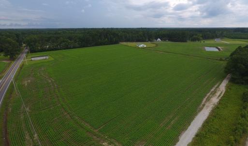 Photo #4 of Near 15539 Swamp Fox Hwy E, Tabor City, NC 20.0 acres