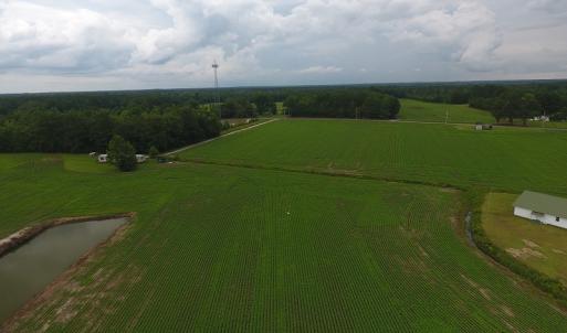 Photo #6 of Near 15539 Swamp Fox Hwy E, Tabor City, NC 20.0 acres