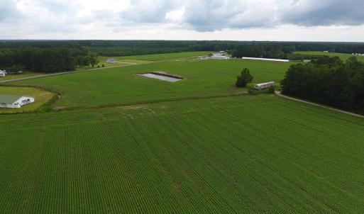 Photo #7 of Near 15539 Swamp Fox Hwy E, Tabor City, NC 20.0 acres