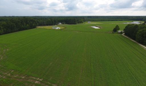 Photo #8 of Near 15539 Swamp Fox Hwy E, Tabor City, NC 20.0 acres