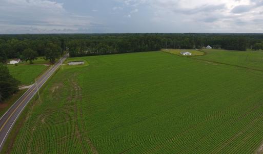 Photo #9 of Near 15539 Swamp Fox Hwy E, Tabor City, NC 20.0 acres