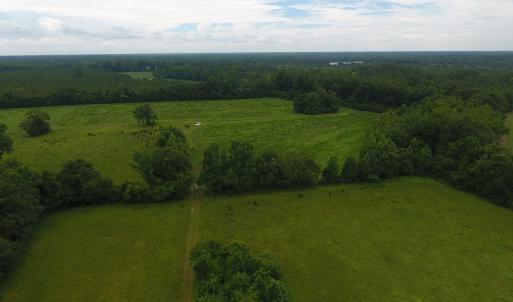 Photo #12 of Off Kemper Church Road, Lake View, SC 30.4 acres