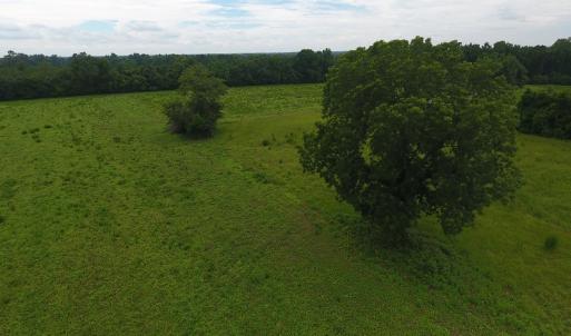 Photo #13 of Off Kemper Church Road, Lake View, SC 30.4 acres