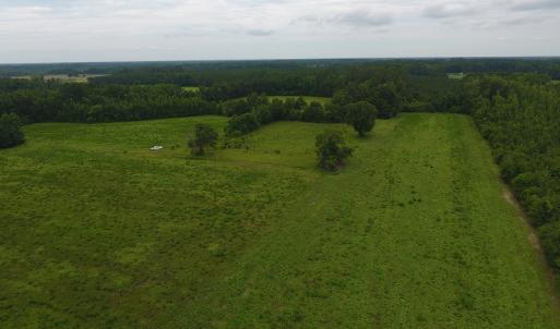 Photo #6 of Off Kemper Church Road, Lake View, SC 30.4 acres