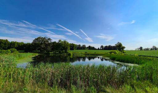 Photo #2 of SOLD property in 1074 Coon Trail, South Boston, VA 253.0 acres