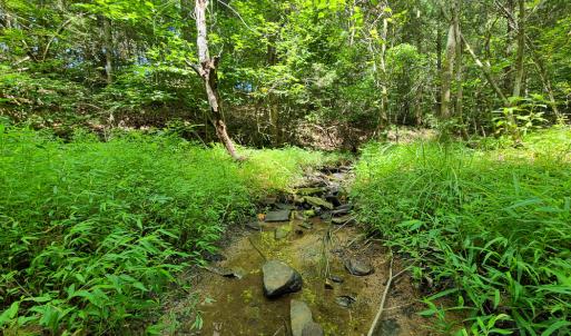 Photo #4 of SOLD property in 1074 Coon Trail, South Boston, VA 253.0 acres