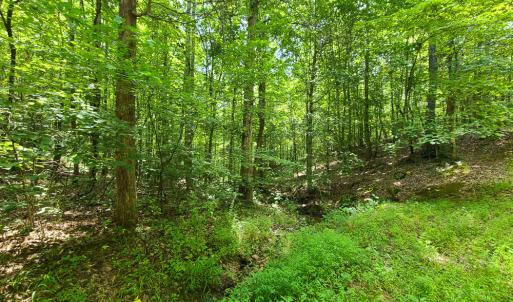 Photo #5 of SOLD property in 1074 Coon Trail, South Boston, VA 253.0 acres