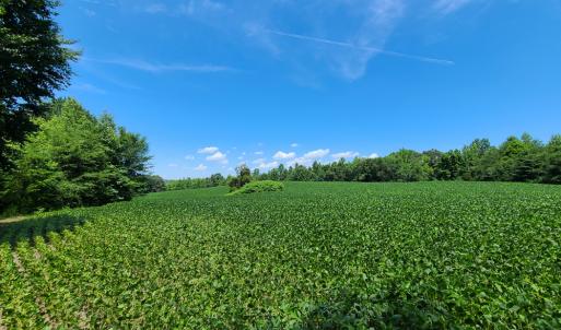 Photo #6 of SOLD property in 1074 Coon Trail, South Boston, VA 253.0 acres