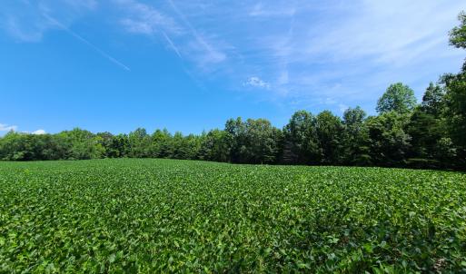 Photo #7 of SOLD property in 1074 Coon Trail, South Boston, VA 253.0 acres