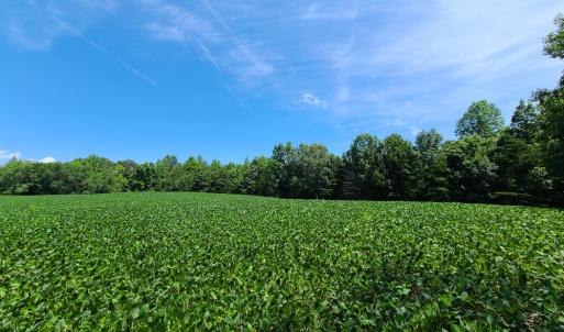 Photo #7 of SOLD property in 1074 Coon Trail, South Boston, VA 253.0 acres