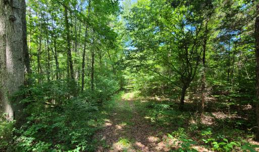 Photo #8 of SOLD property in 1074 Coon Trail, South Boston, VA 253.0 acres
