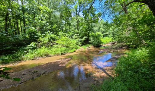 Photo #11 of SOLD property in 1074 Coon Trail, South Boston, VA 253.0 acres