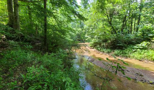 Photo #12 of SOLD property in 1074 Coon Trail, South Boston, VA 253.0 acres