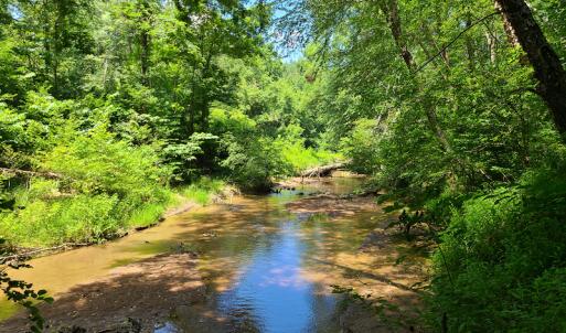 Photo #13 of SOLD property in 1074 Coon Trail, South Boston, VA 253.0 acres