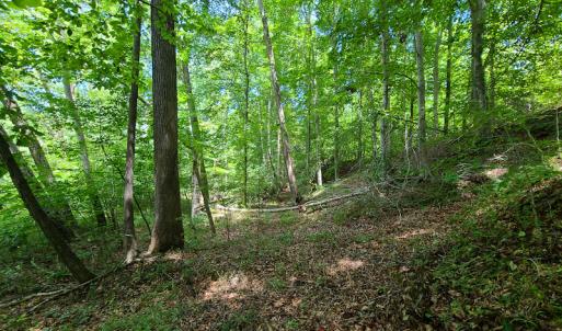 Photo #15 of SOLD property in 1074 Coon Trail, South Boston, VA 253.0 acres