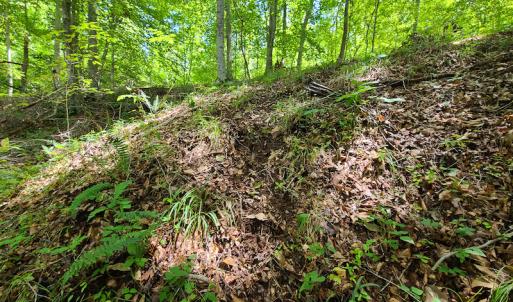 Photo #17 of SOLD property in 1074 Coon Trail, South Boston, VA 253.0 acres