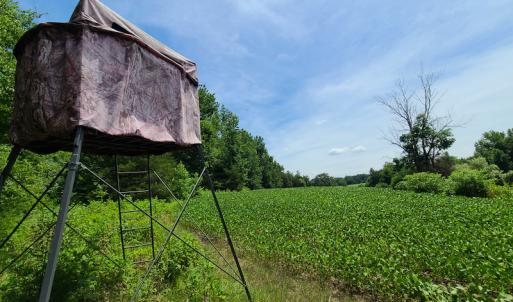 Photo #20 of SOLD property in 1074 Coon Trail, South Boston, VA 253.0 acres