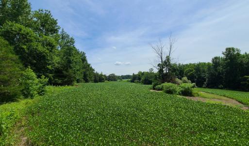 Photo #21 of SOLD property in 1074 Coon Trail, South Boston, VA 253.0 acres