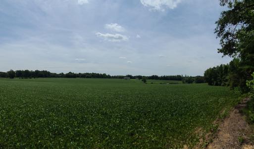 Photo #22 of SOLD property in 1074 Coon Trail, South Boston, VA 253.0 acres