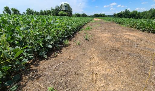 Photo #23 of SOLD property in 1074 Coon Trail, South Boston, VA 253.0 acres