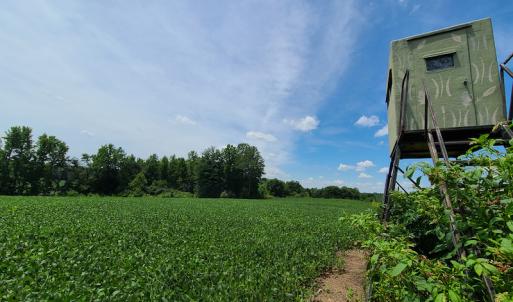 Photo #24 of SOLD property in 1074 Coon Trail, South Boston, VA 253.0 acres